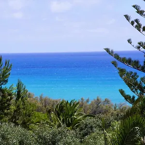 https://porto-santo-pedras-pretas-beach-house.madeira-islandshotels.com